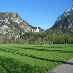 Neuschwanstein  Picture 150.jpg